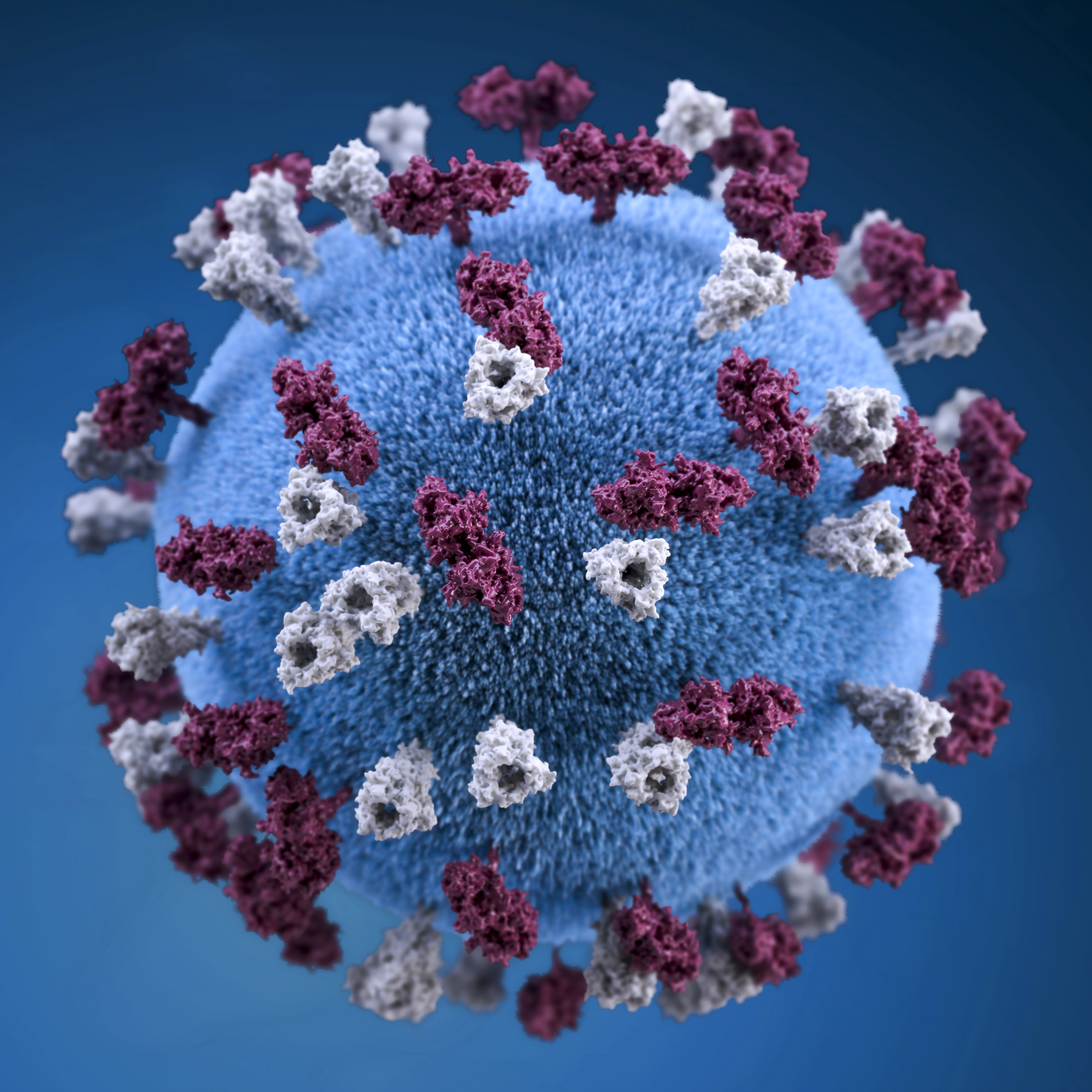 covid-19-coronavirus-covid-cell-pandemic-corona-virus-1608799-pxhere.com